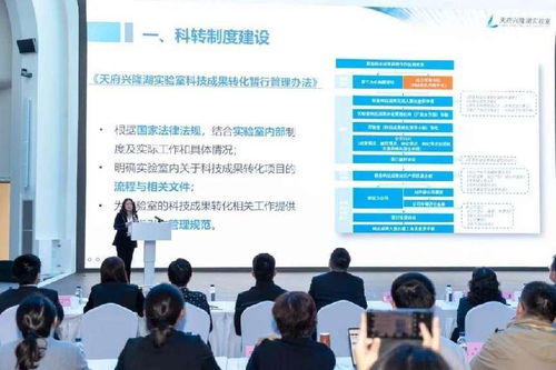 推動(dòng)更多科技成果就地轉(zhuǎn)化 信息技術(shù)咨詢服務(wù)助力國家隊(duì)實(shí)驗(yàn)室與大裝置融合發(fā)展